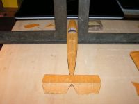 Moustique PICT7588-1024